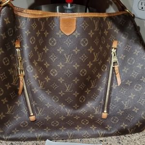 LV Delightful GM Purse
